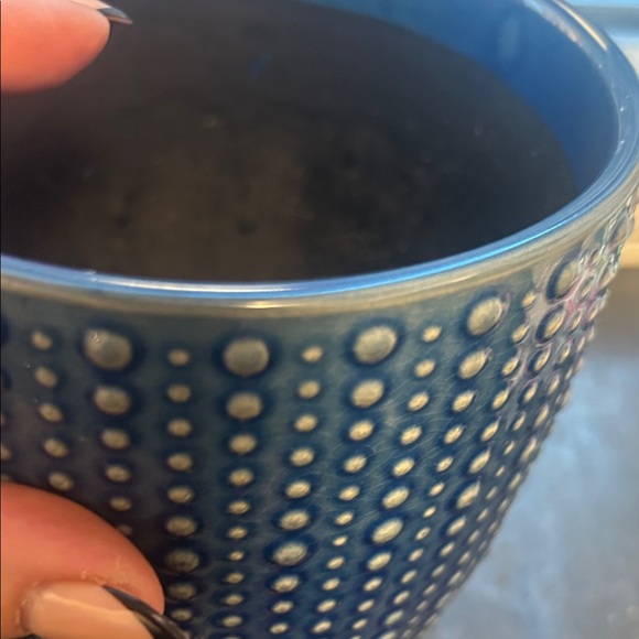 Elegant Blue Dotted Planter - Picture 6 of 6